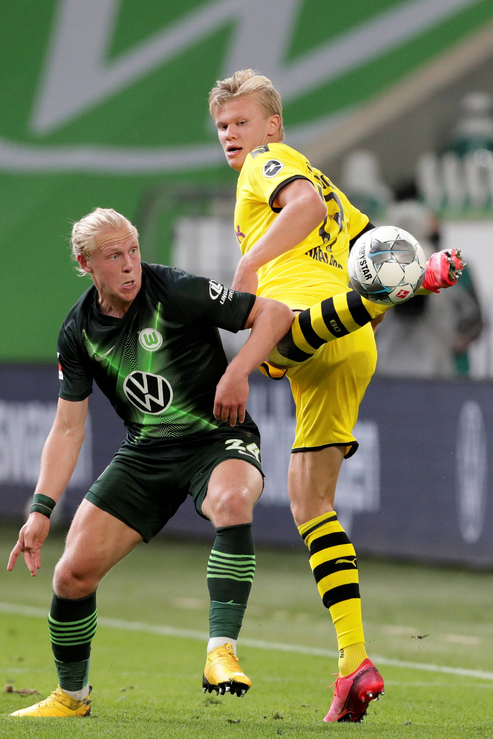 球迷们渴望 球迷们渴望